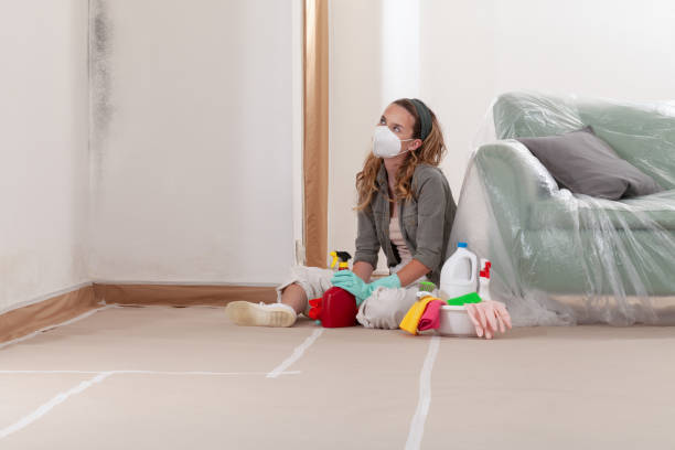 Reliable Hvac And Air Duct Mold Remediation contractor in Chelsea, MI by 24 Hour Mold Removal